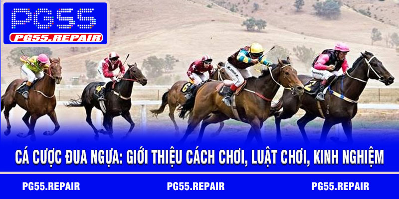 Cá cược đua ngựa: Giới thiệu Cách chơi, Luật chơi, Kinh nghiệm