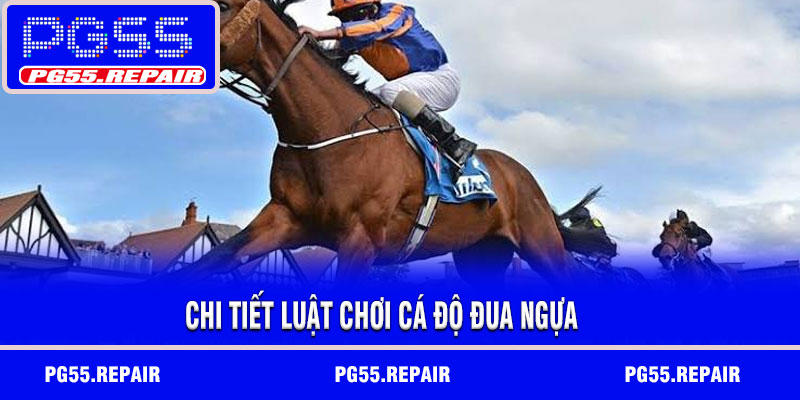 Chi tiết luật chơi cá độ đua ngựa