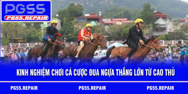 Kinh nghiệm chơi cá cược đua ngựa thắng lớn từ cao thủ
