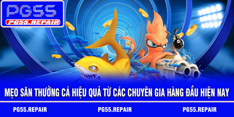 Mẹo săn thưởng cá hiệu quả từ các chuyên gia hàng đầu hiện nay