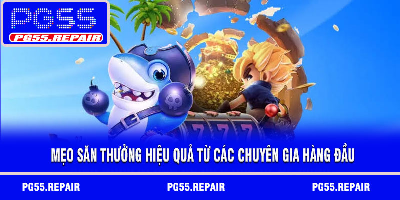 Mẹo săn thưởng hiệu quả từ các chuyên gia hàng đầu