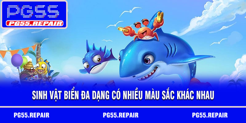 Sinh vật biển đa dạng có nhiều màu sắc khác nhau